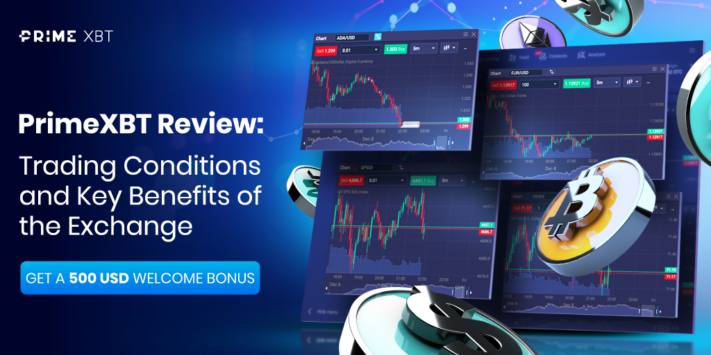 Unlocking Success with the PrimeXBT Platform