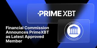 PrimeXBT vs Pocket Option A Comprehensive Comparison